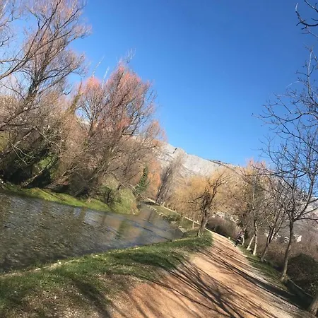 Vila Stella Dalmatica